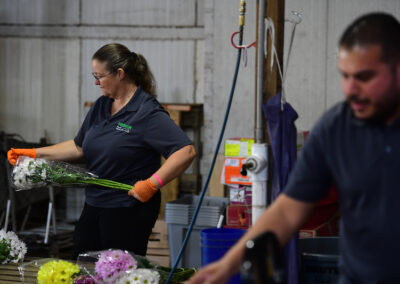 Warehouse Flower Shot